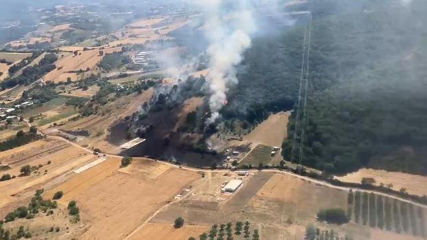Bursa'da orman ve makilik yangını