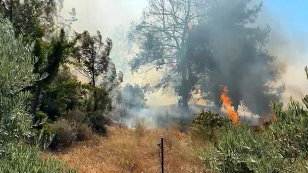 Antalya'da çalılıkta çıkan yangın ormana sıçradı