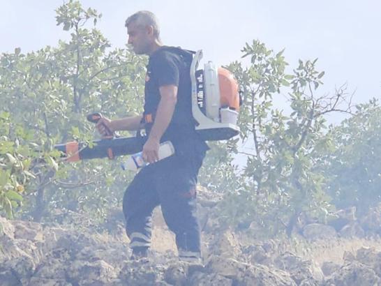 Nusaybin'de otluktaki yangın söndürüldü
