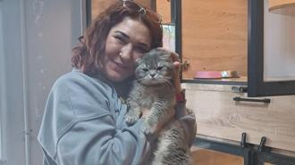 Veteriner hekim sokak hayvanlarını tedavisini yapıp sahiplendiriyor