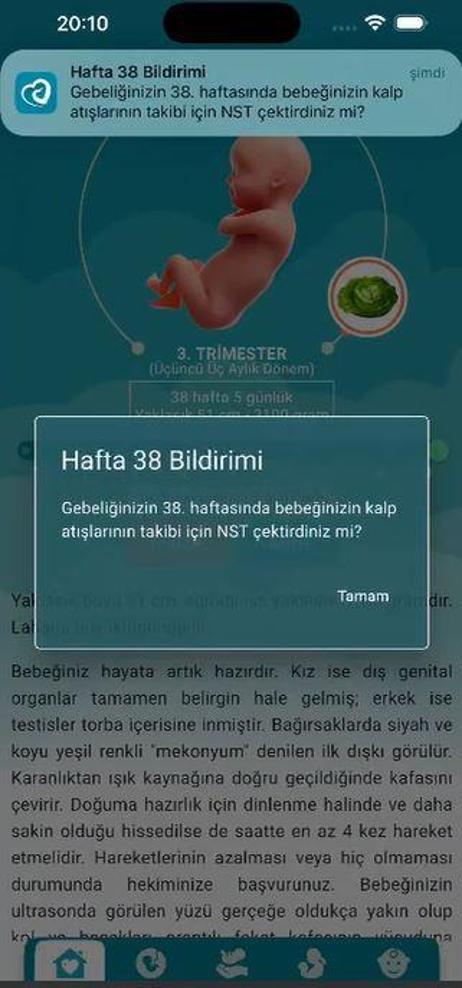 Annelik Yolculuğu mobil uygulaması bir hafta sonra kullanımda